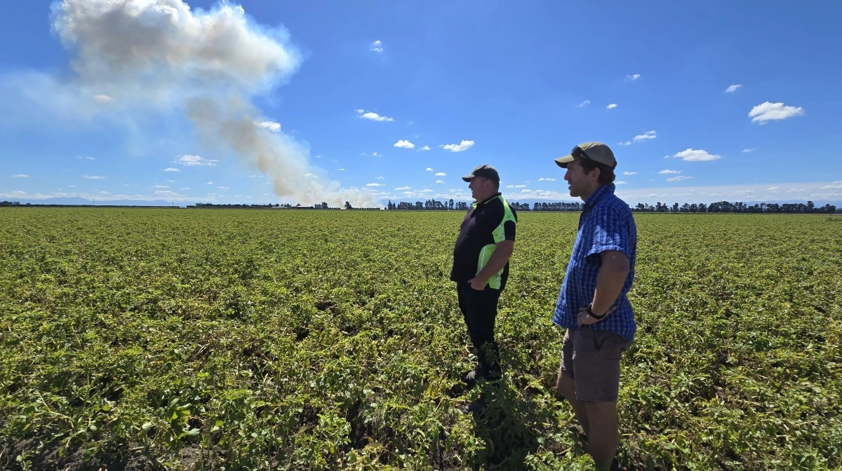 Andrew Scott (th) vurderer kartoffelmarken, som skal tages op. I baggrunden brændes frøgræshalm af.