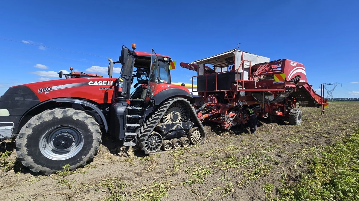 Der er seks Case IH traktorer på Hewson Farms.