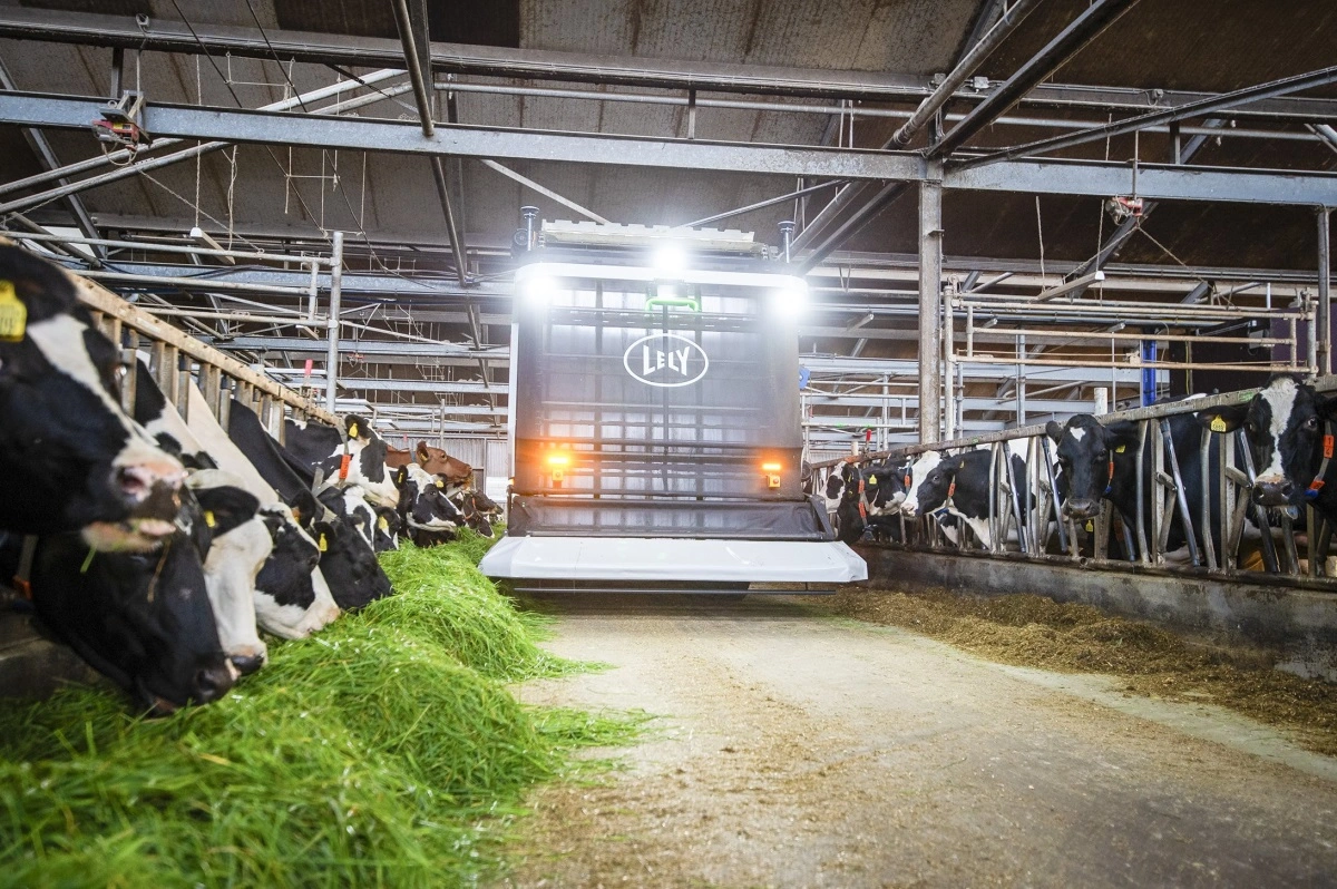 Exos udfodrer græs i stalden.