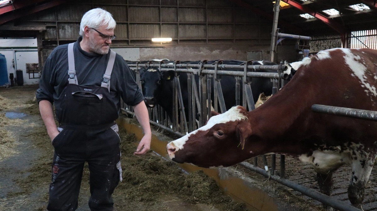 Landsforeningen af Danske Mælkeproducenter med formand Kjartan Poulsen (billedet) i spidsen har klaget til EU over det, foreningen kalder en mangelfuld godkendelse af Bovaer. Arkivfoto: Michael Strandfelt