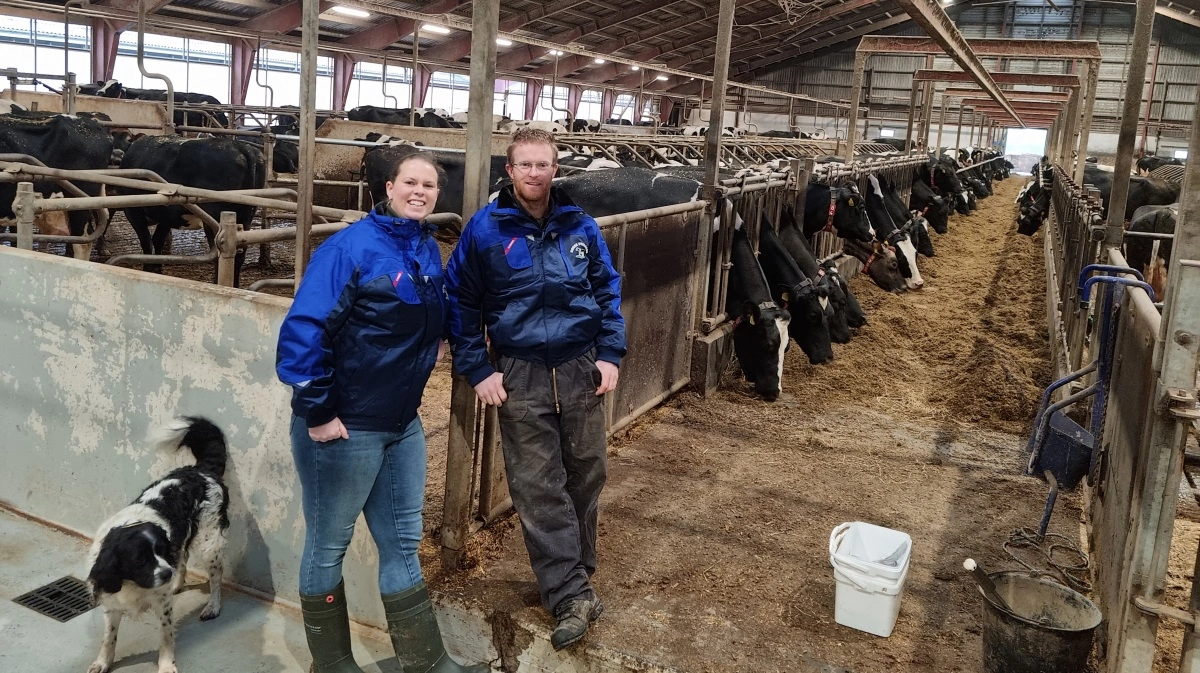 Landmandsparret Rianne og Jan Blom er blot et eksempel på mælkeproducenter, der tidligere har fortalt til avisen om de alvorlige helbredsproblemer, de har oplevet hos deres køer ved brug af Bovaer. Privatfoto