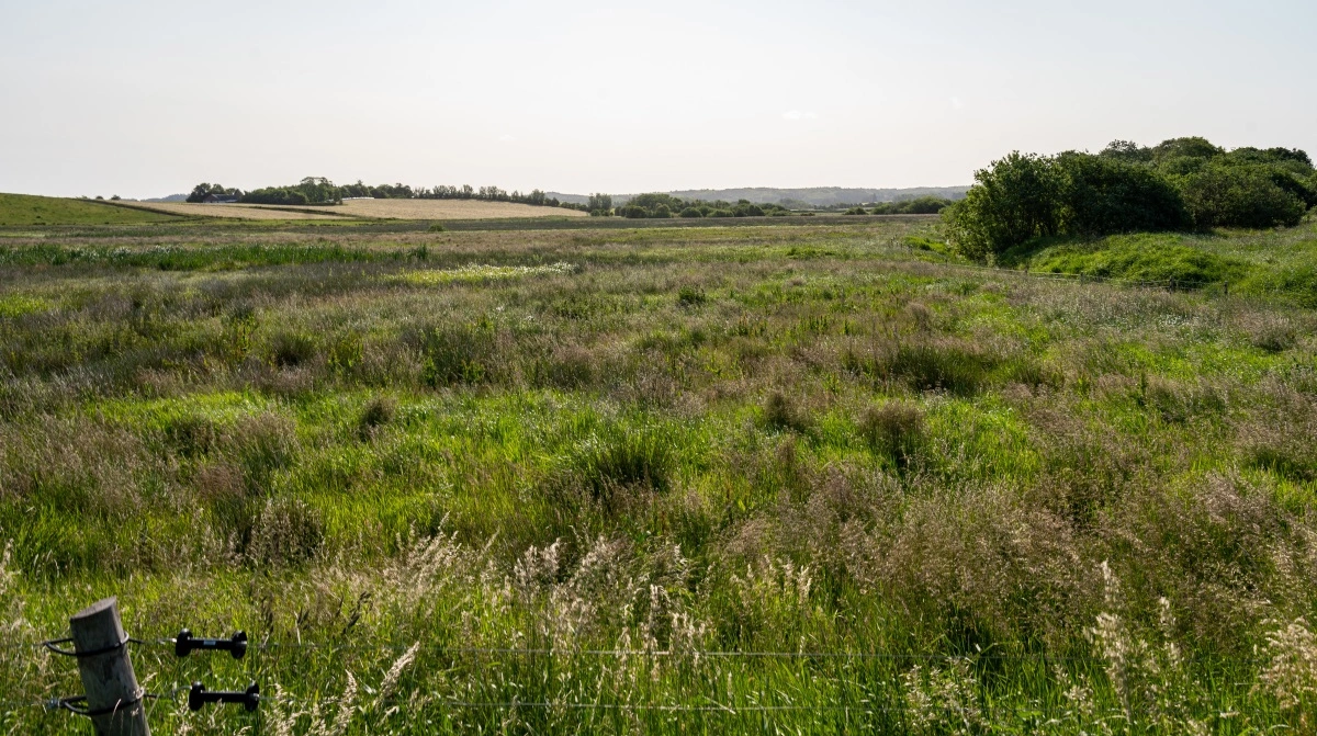 Arkivfoto: Alexander Dornwirth