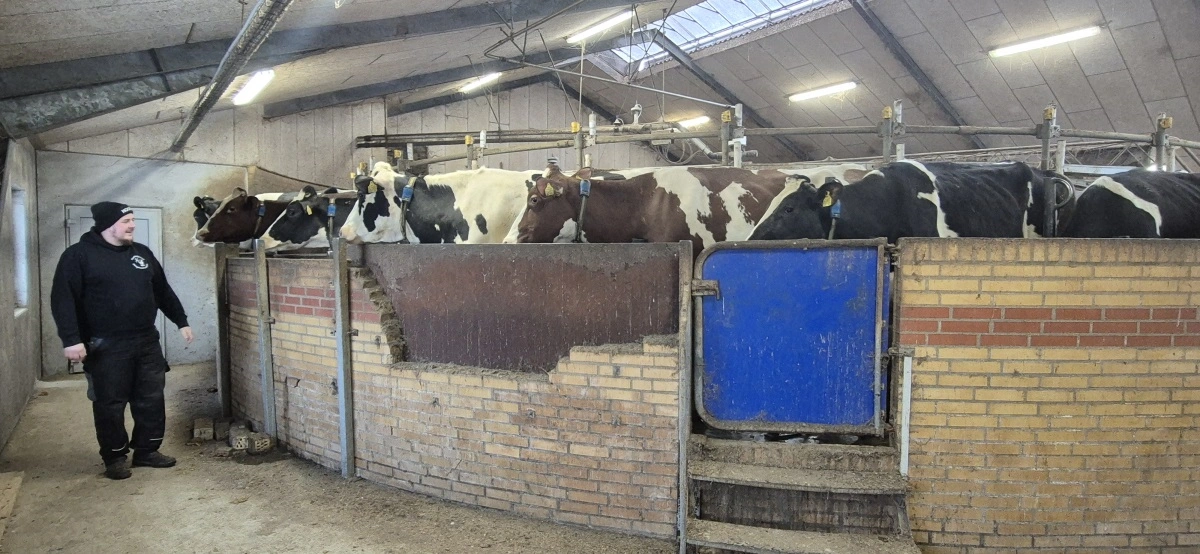 Malkekarrusellen kan ikke mere, der er montør hver eneste uge, og hver dag, der bliver gennemført tre malkninger uden problemer, er en sejr i sig selv.