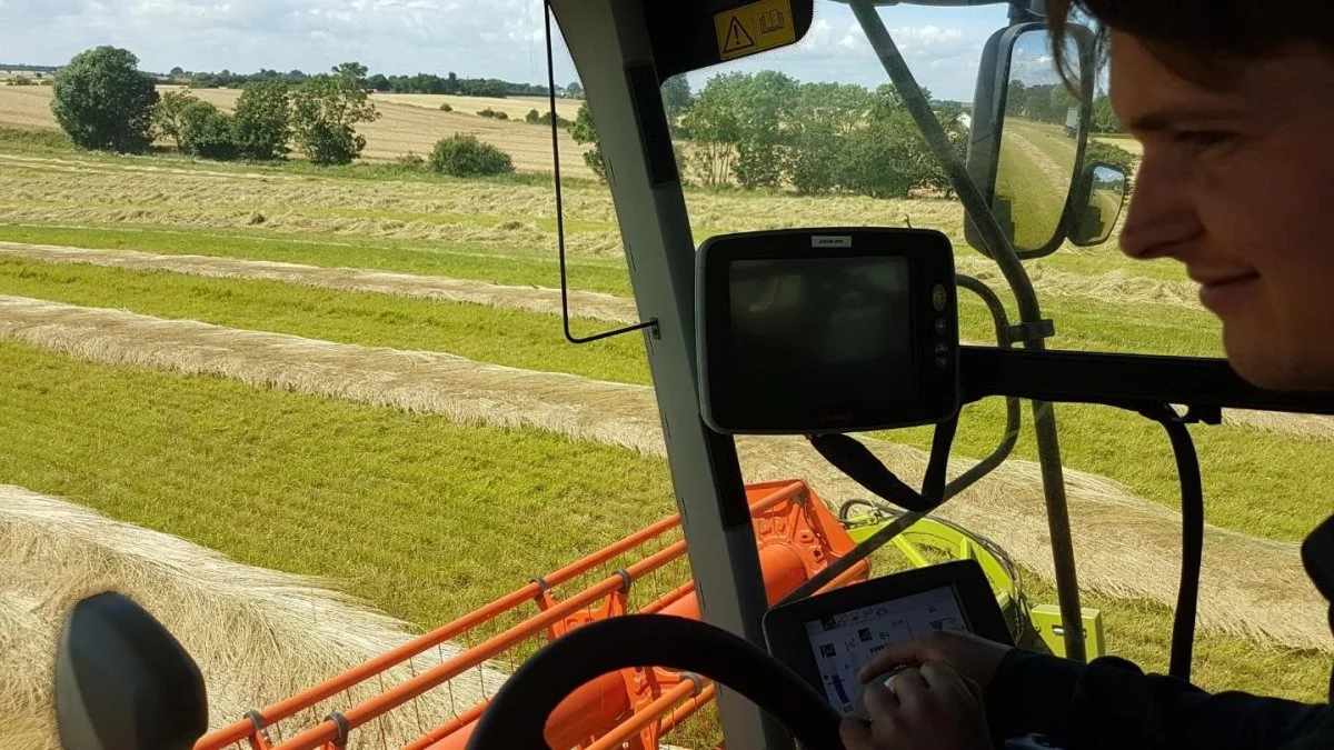 - Det er tørt, overraskende tørt. Det er modent, det drysser og frøene falder nemt af stænglerne, og så ser det ovenikøbet ud til, at rumvægten er en del over de forventede 2,5, lyder det fra Mikkel Jørgensen.