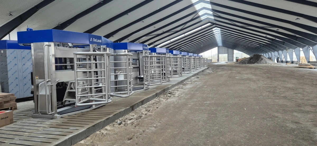 18 robotter vil til maj overtage malkningen på Fladhøjgaard i et såkaldt batch milking-system.