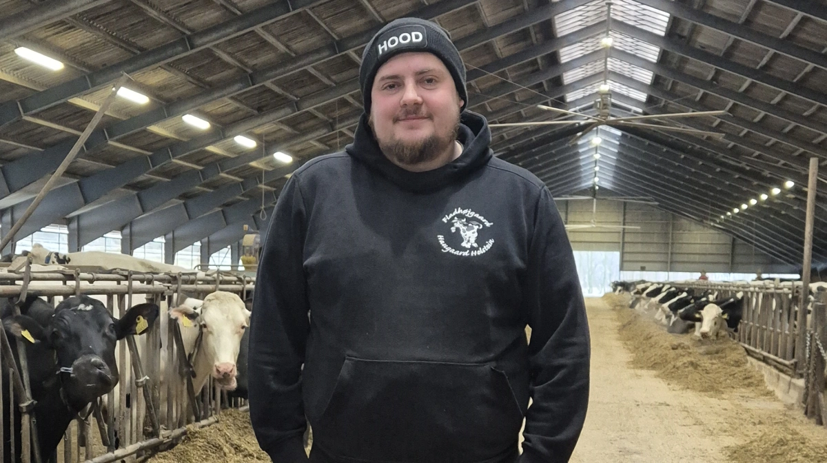 Andreas Haugaard er komand og har altid vidst, at han ville være selvstændig landmand. I 2020 overtog han sine forældres ejendom ved Aalestrup i Himmerland, og lige nu er han på vej mod 800 malkekøer. Fotos: Tenna Bang