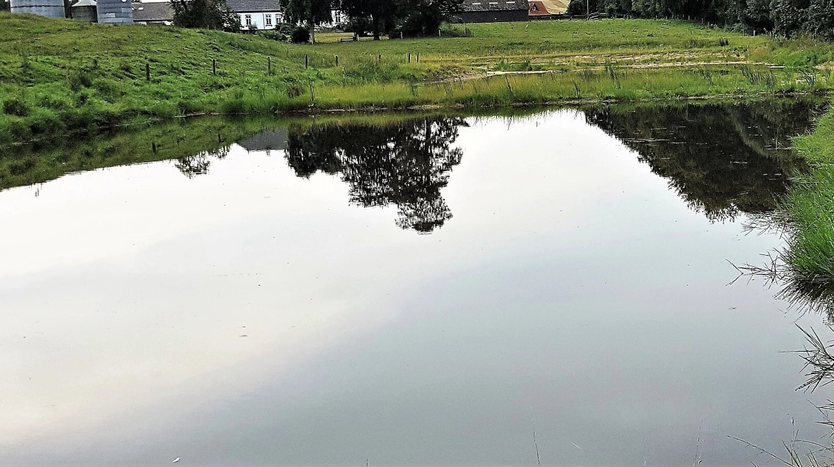 Det er over en bred front, at landbruget bidrager til målopfyldelsen i den grønne trepart, lige fra klima-lavbundsprojekter til minivådområder. Arkivfoto