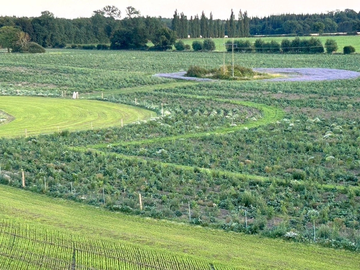I skoven kan man blandt andet finde især stilkeg samt rødeg, vortebirk, dunbirk, rødel, bøg, avnbøg, hassel, almindelig hæg, fuglekirsebær, røn, lind, ægte kastanje og ask samt nåletræer som douglasgran, rødgran og nobilis. 