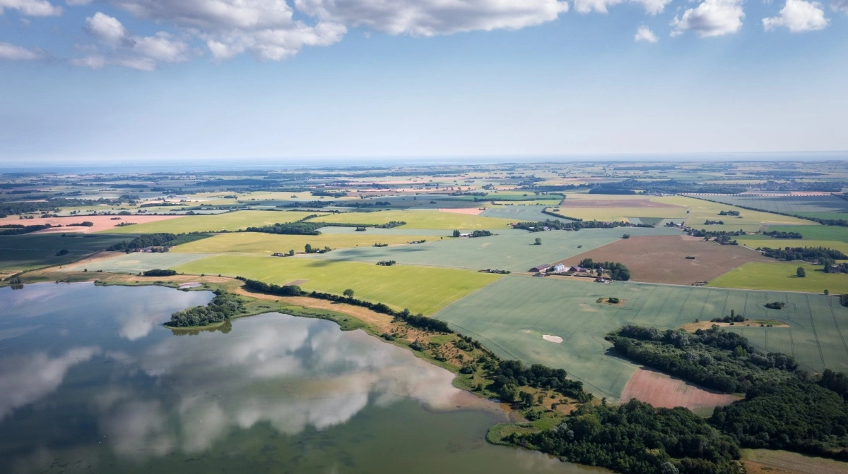 Seges Innovation lancerer digital børs for kvælstofkvoter i 2027 med forventet handel for trecifret millionbeløb årligt. Foto: Seges Innovation