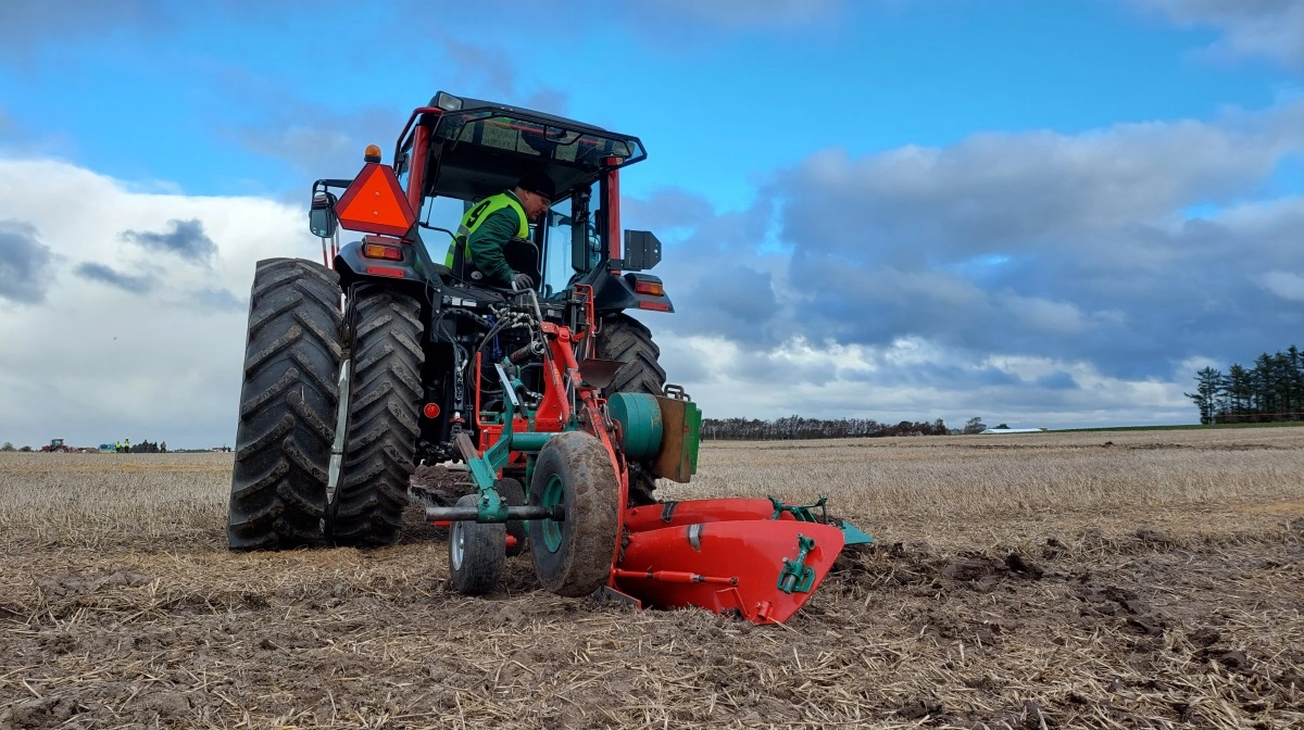 Det er blevet sværere at finde marker, hvor der bliver pløjet i Danmark, og det giver udfordringer for arrangørerne af DM i pløjning. Men til oktober vender arrangementet tilbage ved Krenkerup Gods udenfor Sakskøbing på Lolland.  Billedet her stammer fra sidste års arrangement. Arkivfoto
