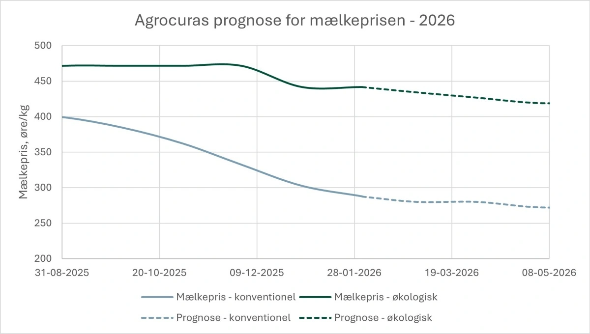 Figur 1: Agrocuras forventning til udviklingen i den økologiske mælkepris i de kommende måneder. 