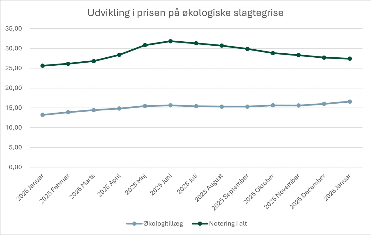 Figur 2: Udvikling i økologitillægget og samlet notering for økologiske slagtesvin i 2025. Prisen er angivet i kroner pr. kg inkl. efterbetaling og regulering. Kilde: Farmtal-Online og Friland. 