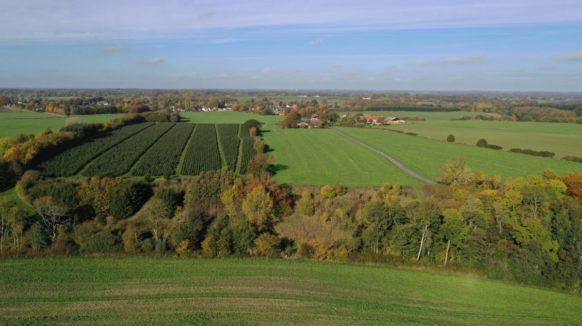 Arkivfoto: Per Jørgensen