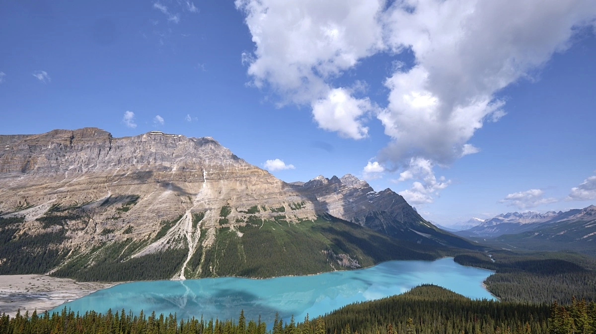 Icefield Parkway i de canadiske Rocky Mountains er blandt andet berømt for sine søer med det turkisblå vand som her ved Peyote Lake.