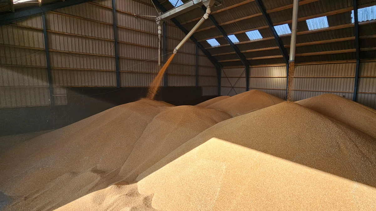 Som konsekvens af den stigende geopolitiske uro i verden bør fødevareforsyningssikkerhed i højere grad tænkes ind i Danmarks kriseberedskab, mener Landbrug & Fødevarer. Arkivfoto