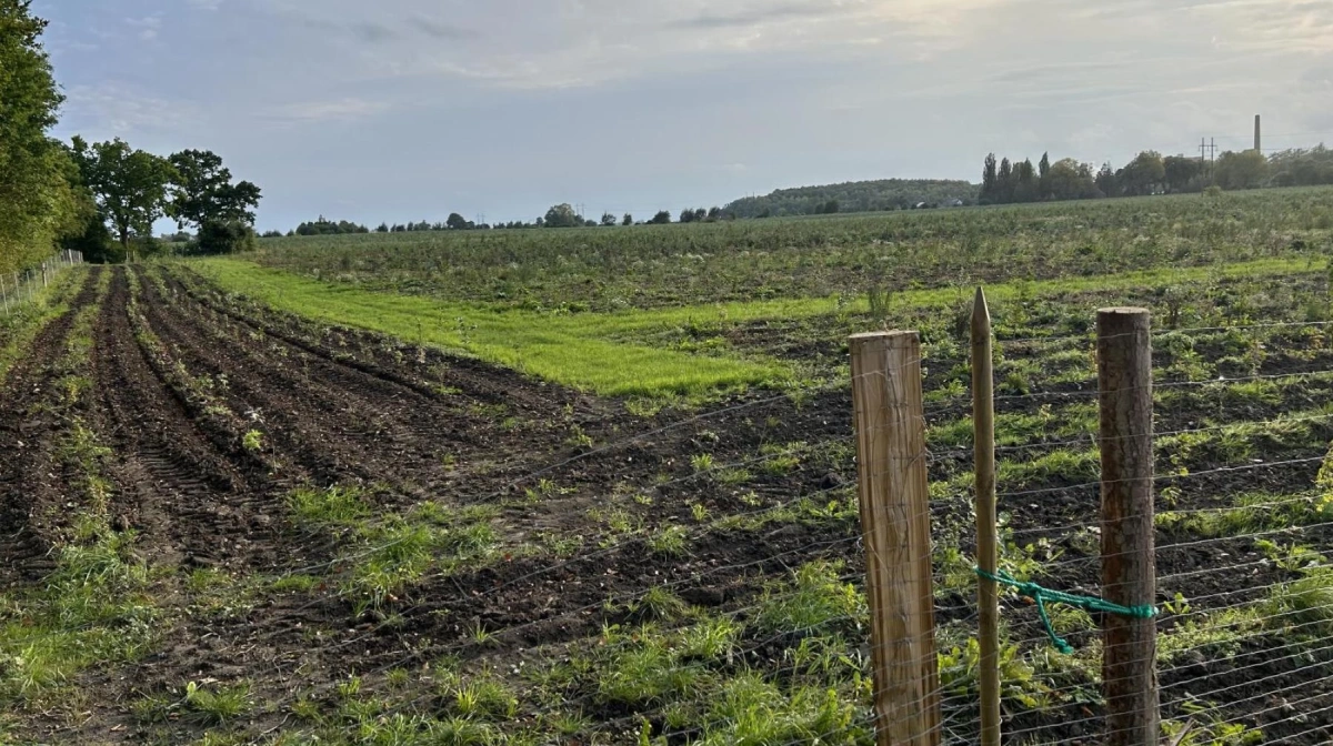 Foto: Klimaskovfonden