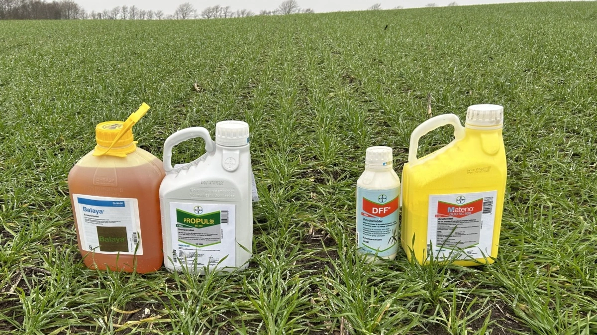 Planteavlerne får i fremtiden færre planteværnsmidler at gøre godt med. Foto: Agillix