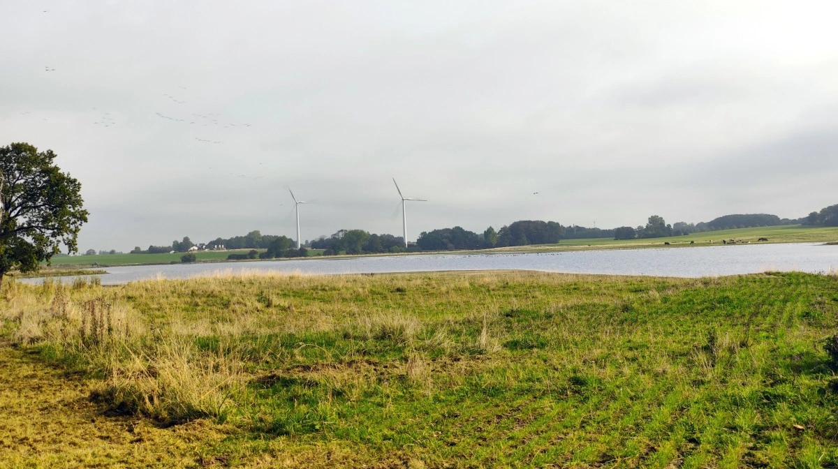 Der er udsigt til langt flere vådområder i Danmark i fremtiden. De skal hjælpe med at sænke udledningerne af kvælstof og bidrage til god økologisk tilstand i vandmiljøet herhjemme. Arkivfoto