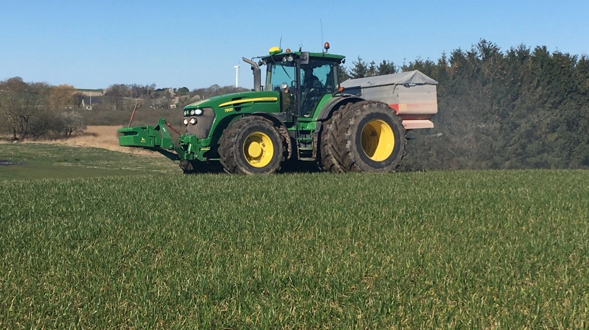- Vinterhvedemarkerne er i år generelt veletablerede, og udviklingen i foråret afhænger derfor primært af såtidspunktet, lyder det fra chefkonsulent Julie Therese Christensen, Seges Innovation. Arkivfoto