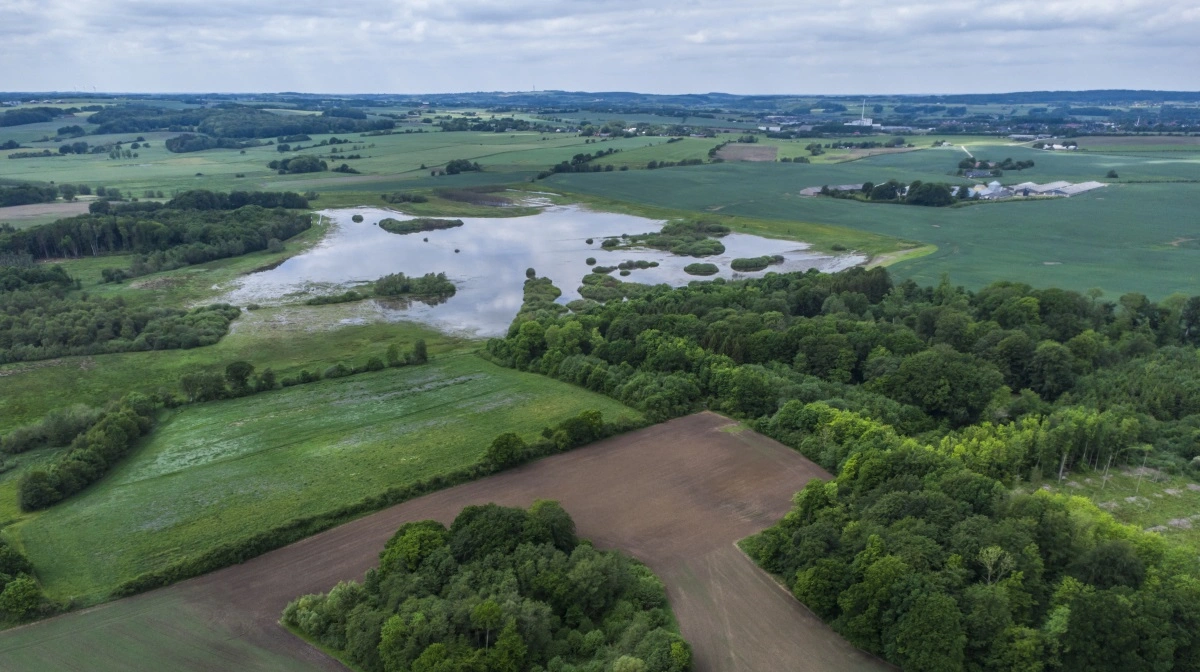De mange hundrede trepartsprojekter i den grønne trepart sætter pres på administrationen. Men nu er der hjælp på vej i form af penge fra Novo Nordisk Fonden. Arkivfoto: Colourbox