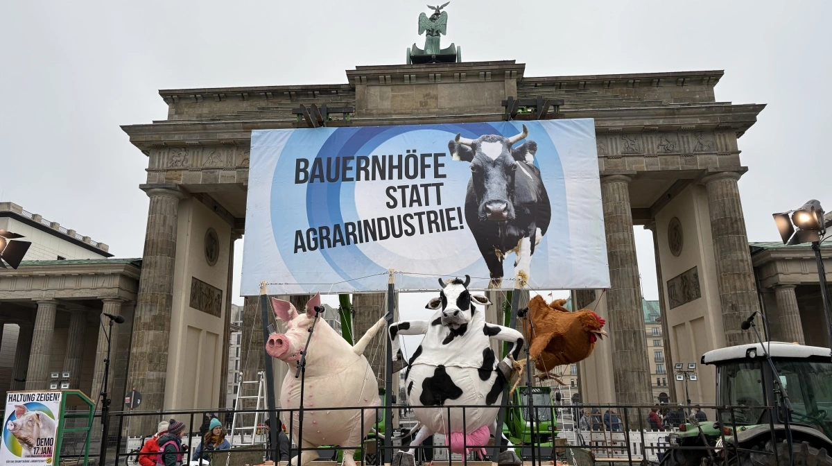Symbolikken er tydelig, når dukke- og bamseudgaver af kvæg, grise og fjerkræ klynges op. CAP-midler bør ikke supportere dyremishandling, lyder et af budskaberne ved Brandenburger Tor. Fotos: Christian Ingemann