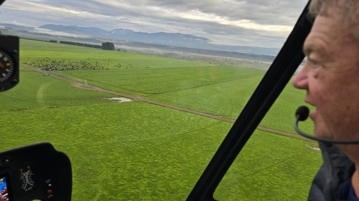 Selv om næsten alt er græsmarker, så koster jord til mælkeproduktion i øjeblikket over 270.000 kr. pr. hektar - det dobbelte af jord til planteavl. 