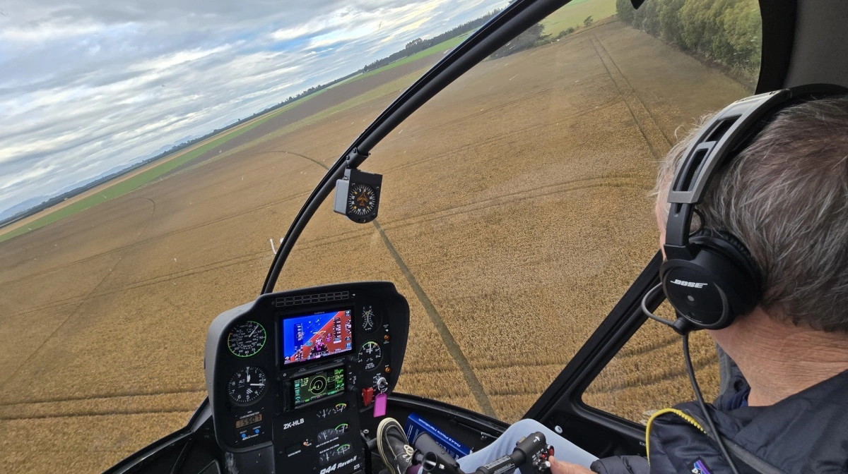 En høstklar ærtemark.