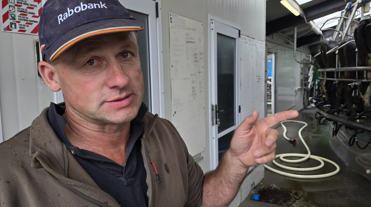 - Halter-systemet koster 50 kroner pr. ko pr. måned i abonnement. Og når vi har 1.600 køer på den farm, som vi afprøver Halter på, så bliver det 960.000 kroner om året, fortæller Elliot Craig. 