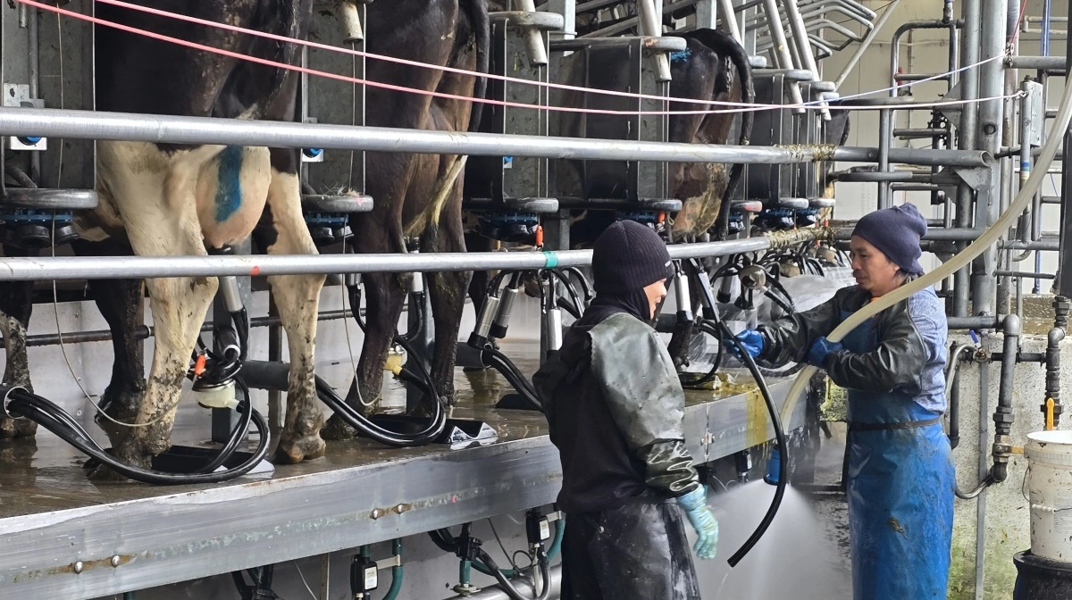 Der malkes 26 millioner kg mælk årligt på Elliot Craigs farme.