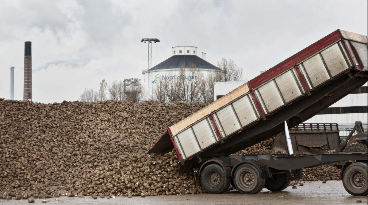 Nordic Sugar i Nykøbing Falster ansætter erfaren ny fabriksdirektør efter tre år hos Nordzucker. Arkivfoto