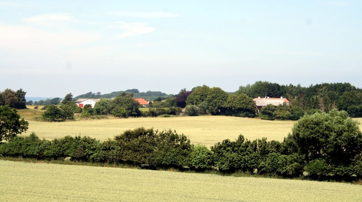 Byudvikling vokser ca. 2.600 ha årligt, mens store arealer udtages til natur og samlet øger presset på landbrugsjord. Arkivfoto