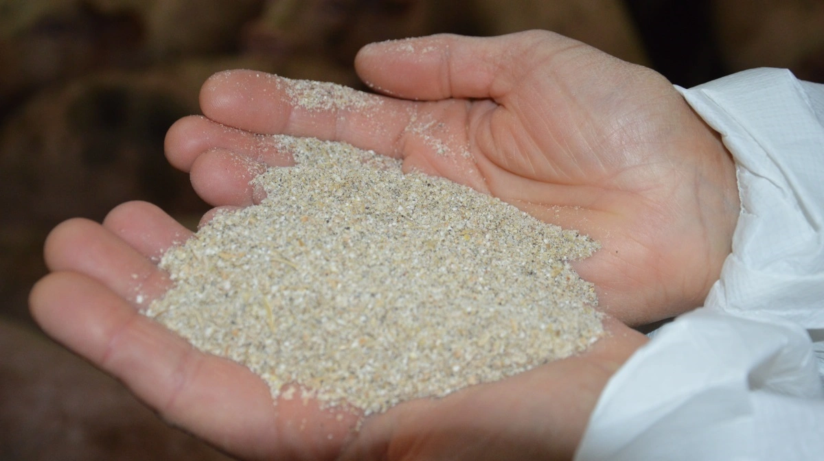 Forskere ved DCA - Institut for Husdyr- og Veterinærvidenskab har udviklet en ny metode til at måle kulhydrater i fodermidler. 