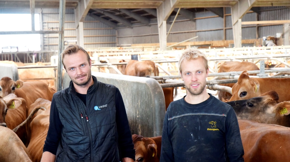 Boe og Per Østergaard er blandt de nye ejer af de mange hektar landbrugsjord, som blev udbudt efter Better Energys konkurs. Arkivfoto: Morten Ipsen