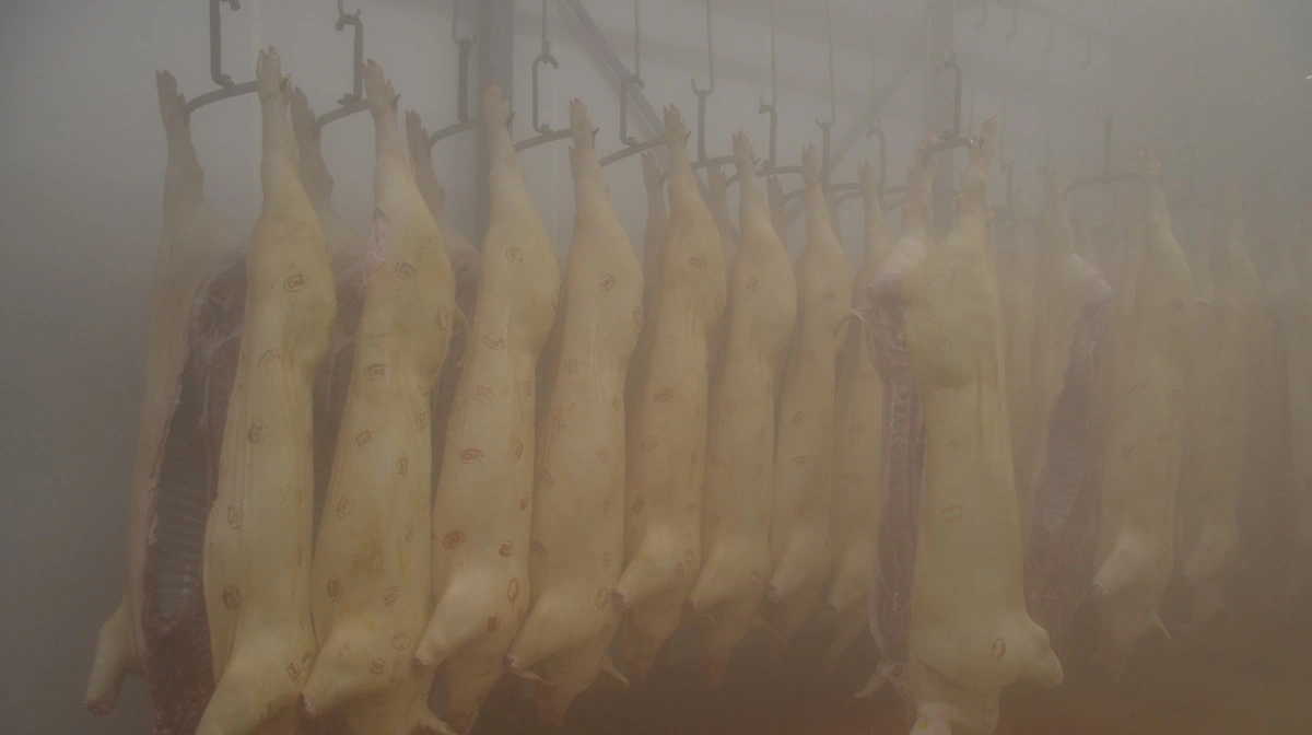 En ny definition af egenskaben slagtesvind er på tegnebrættet. Arkivfotos: Camilla Bønløkke