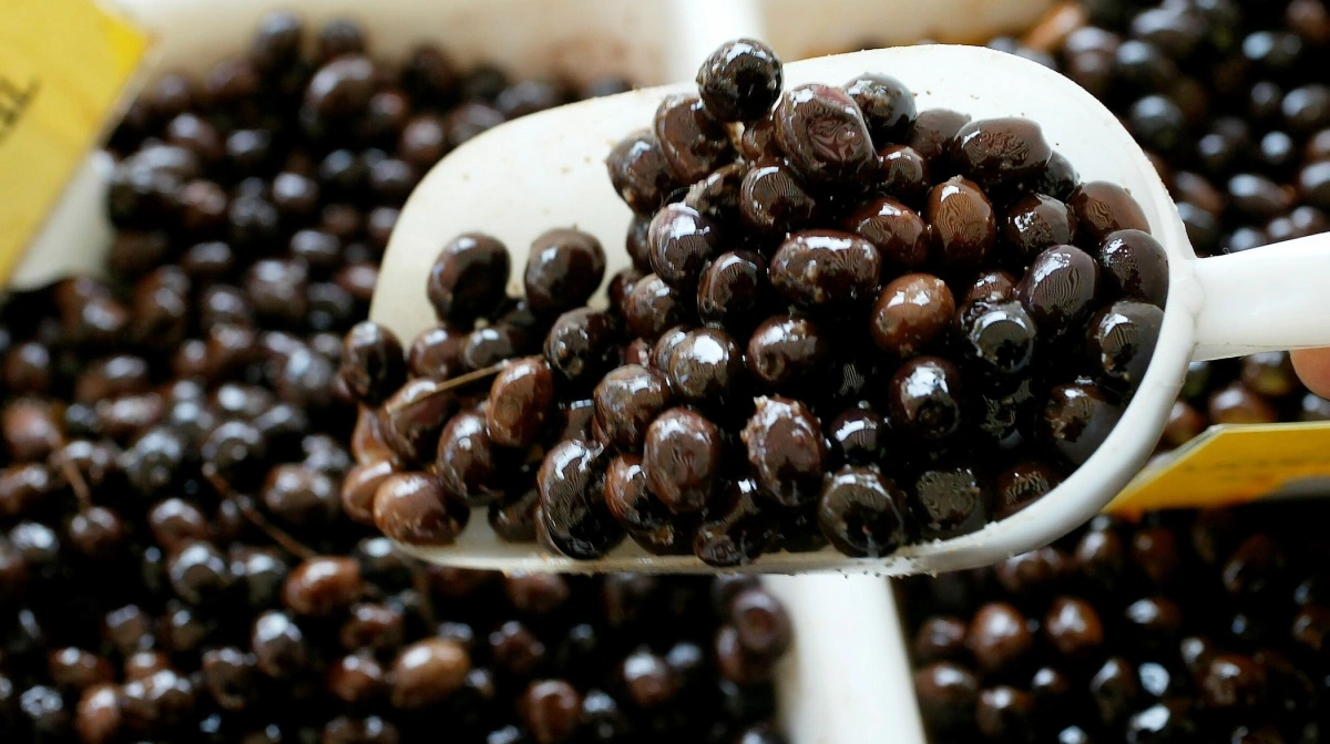 Tilsætning af fibre fra olivenkerner og vindrueskaller kombineret med præbiotika, kan ifølge Nutrimin øge både mængden og kvaliteten af råmælk. Foto: Colourbox