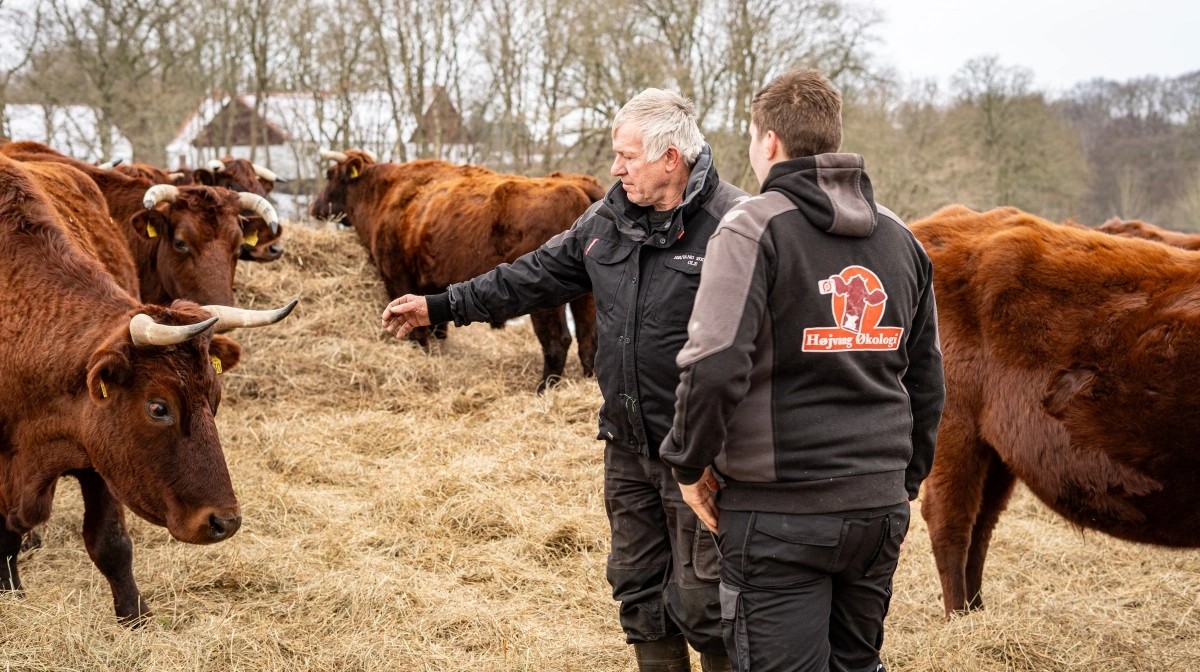 Bedriften har 70 kontrakter med private lodsejere, og de er blevet godkendt alle sammen. Men de tilsvarende aftaler med Viborg Kommune er blevet underkendt.