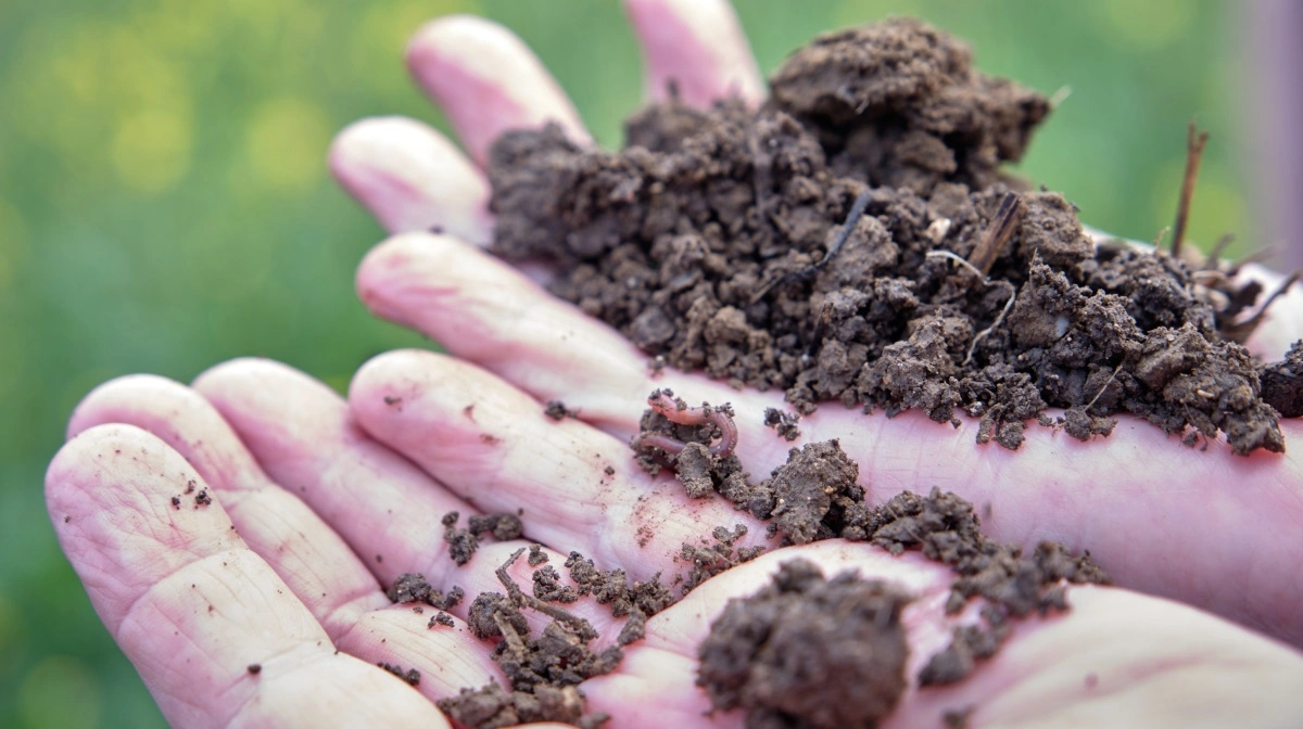 Undersøg om jorden er klar, inden du går i gang. Arkivfoto