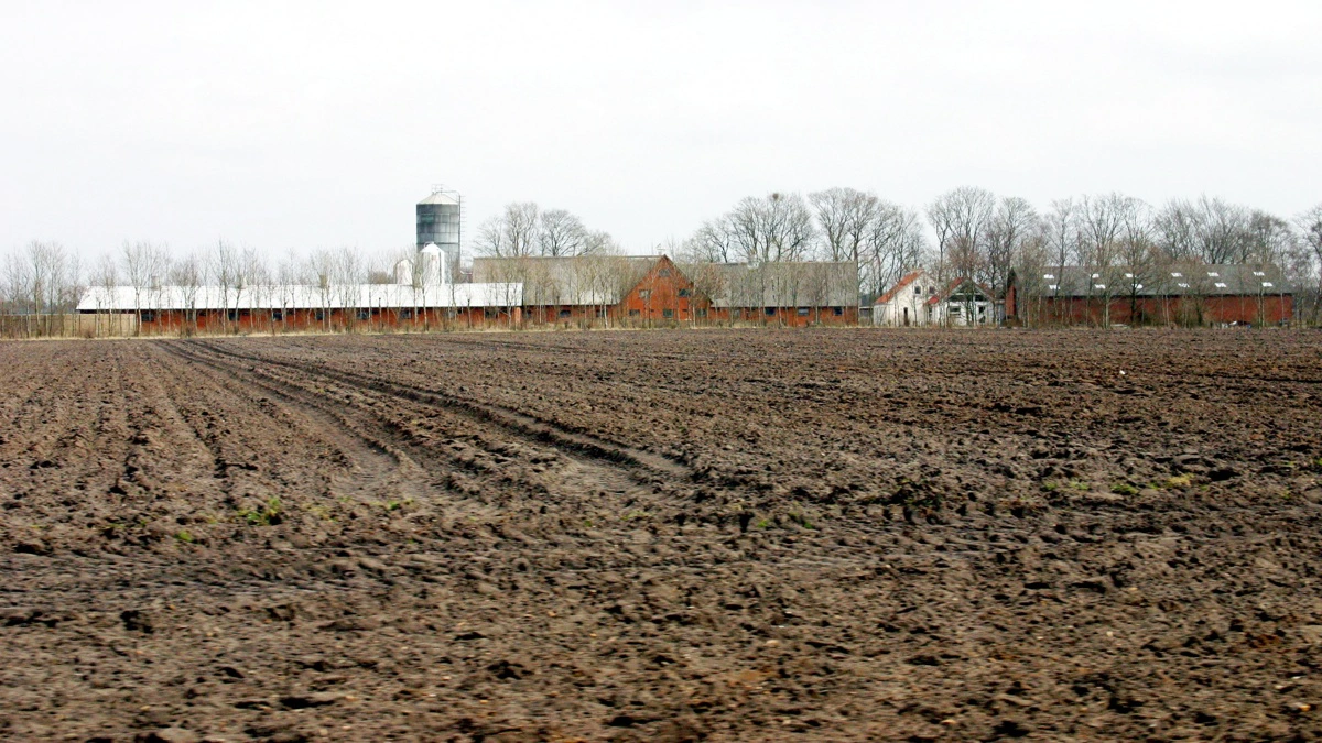 Grundig dokumentation og overblik over aftaler, miljøforhold og finansiering kan være afgørende for både pris og proces, når landbrugsejendommen skal sælges. Billedet her er taget i en anden sammenhæng. Arkivfoto