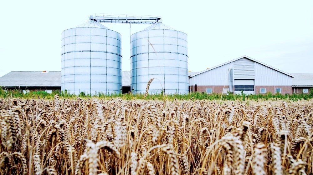 Rådet fra Agromarkets lyder: Sælg 25 procent mere nu og sikr gennemsnitsprisen, før eksportpres og stort udbud presser kornmarkedet.