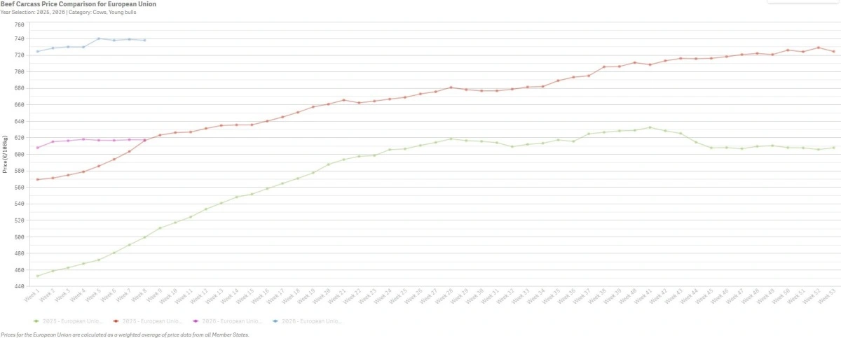 Figur 1: Udviklingen i de gennemsnitlige oksekødspriser i 2025 og 2026 for ungtyre (rød og blå) og køer (grøn og lyserød). Kilde: Agridata.ec.europa 