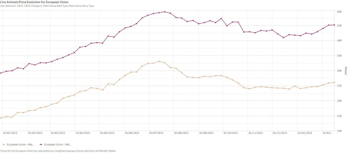 Figur 2: Udvikling i gennemsnitspriserne på småkalve for kalve af kødkvægsrace (rød) og malkerace (gul) i Europa. Kilde: Agridata.ec.europa