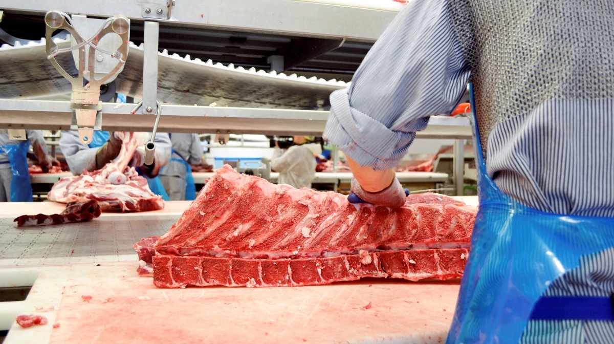 Rolig februarmarked holder kreaturnoteringer uændrede trods lav aktivitet og begrænset udbud i Europa. Arkivfoto