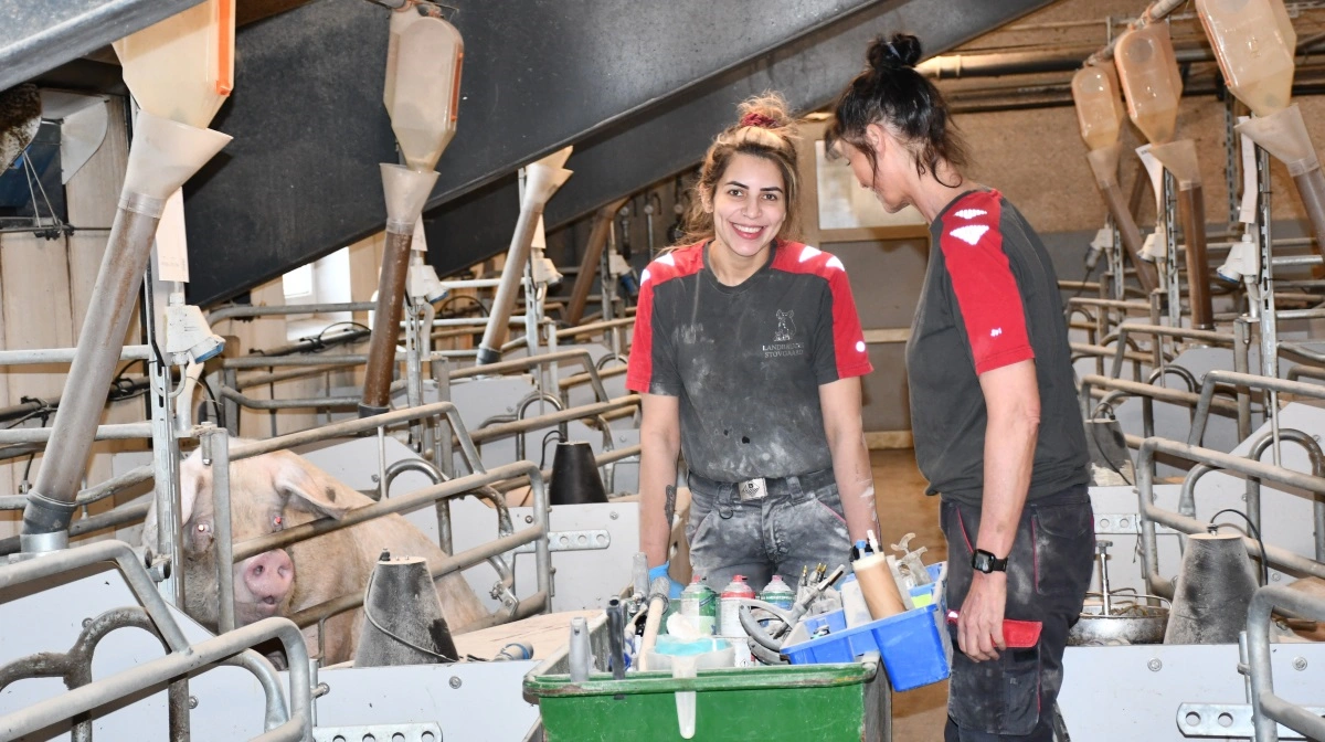 Camila Oliveira, der arbejder i farestalden på Stovgaard, er her i snak med driftsleder Lizette Pilegaard,