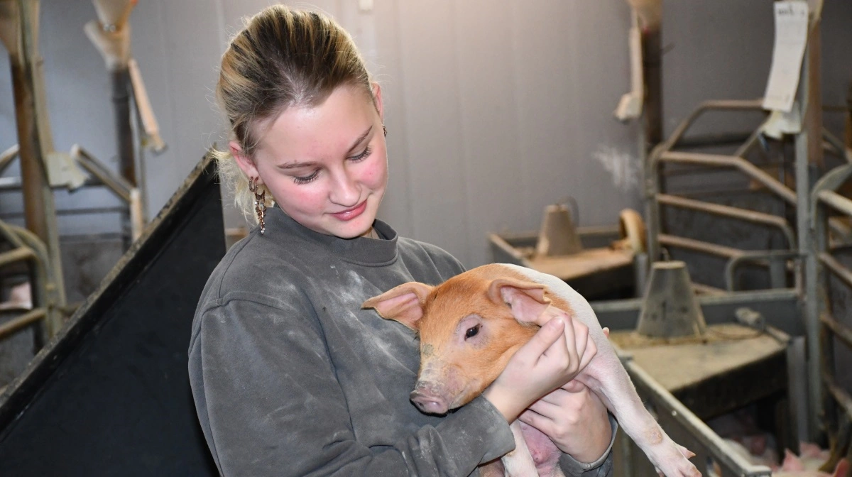 Sofie-Annabell går i 8. klasse og hjælper på Stovgaard i ferie og weekender. 