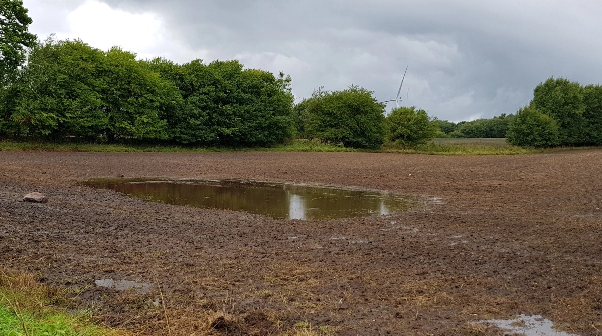 Dræning er ikke kun en teknisk investering, men også et vigtigt værktøj til at sikre en robust planteproduktion i et klima med mere nedbør og større uforudsigelighed.