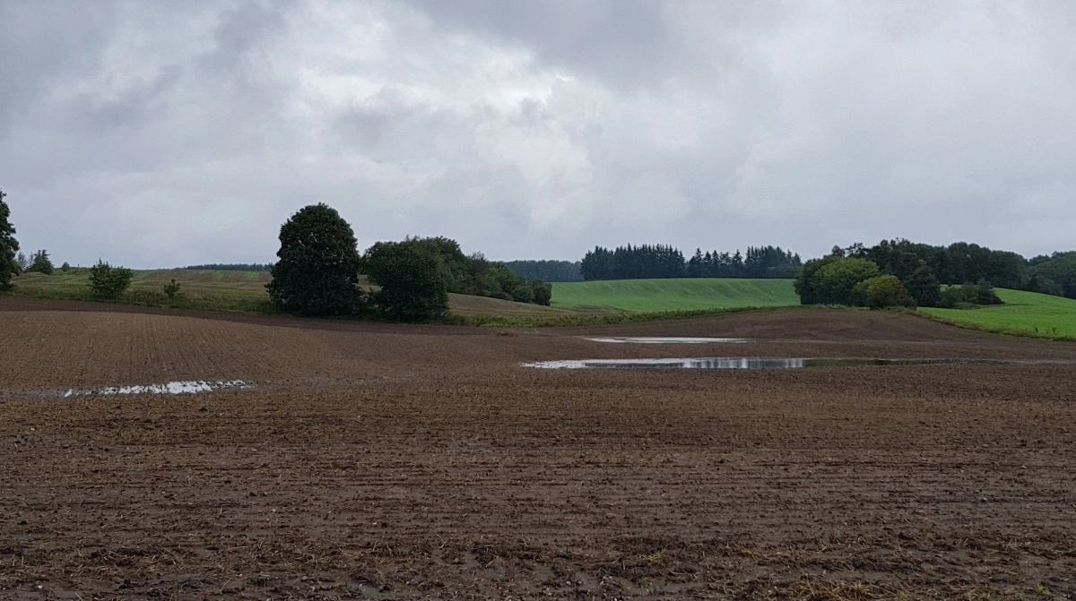 Et effektivt drænsystem handler dog om mere end blot at lægge nye rør til at transportere vandet væk. Systemet skal tænkes sammen med jordens tekstur, struktur og forventet vandtilførsel.