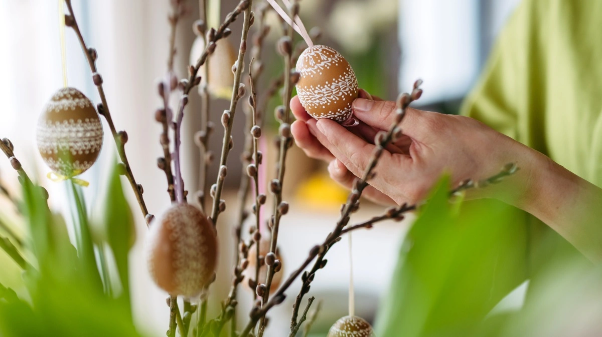 Påsken er også en forårsbebuder, og tidspunktet for påsken bestemmes af forårsjævndøgn. Påskedag falder nemlig som første søndag efter første fuldmåne efter forårsjævndøgn. 