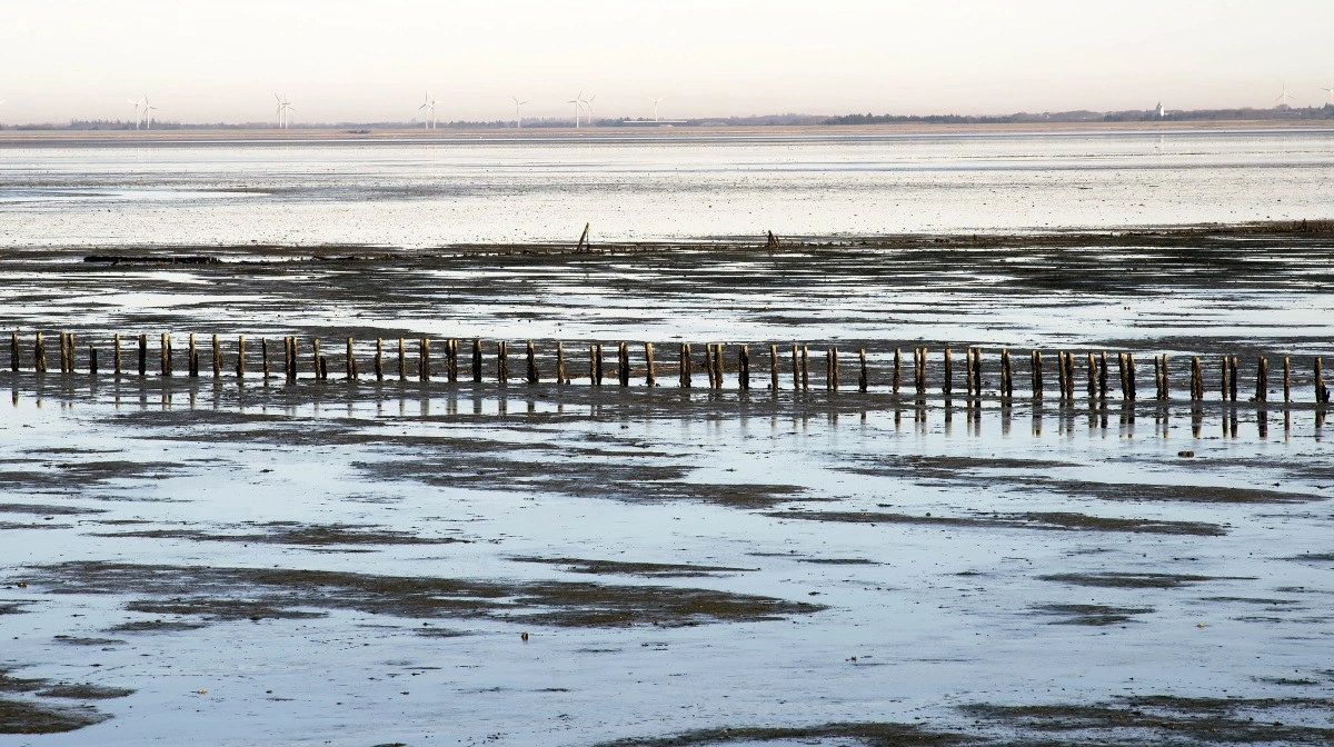 Jysk Landboforening og Spiras fastholder deres samarbejde, når det gælder om at sætte et skarpt fagligt lys på de massive kvælstofkrav i Knudedyb. Foto: Spiras