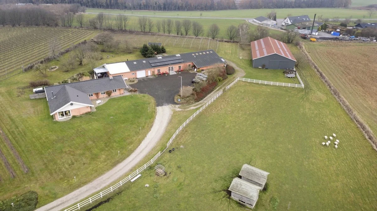 Ørby Vingård betegnes som en unik ejendom med en fantastisk beliggenhed. Ejendommen blev opført i 1969 og har rummet både svinestald og hestehold, før visionen om en vingård tog form. Foto: EDC Landbrug Poul Erik Bech 