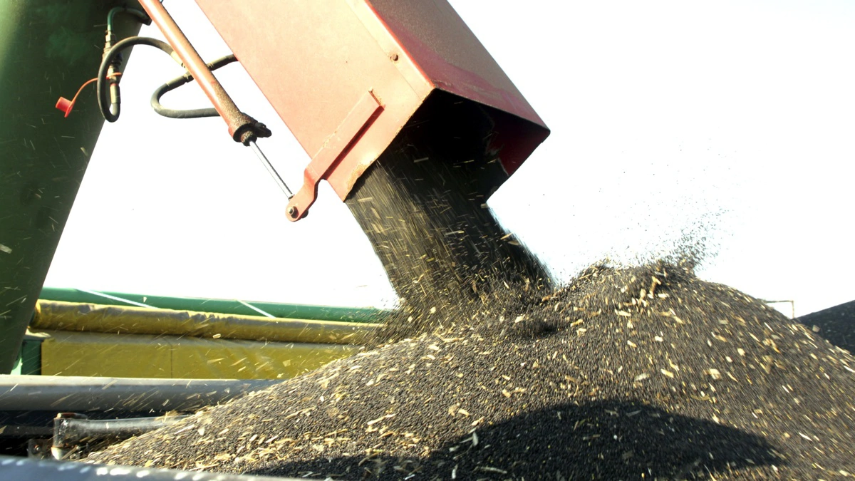 Arkivfoto: Jørgen P. Jensen